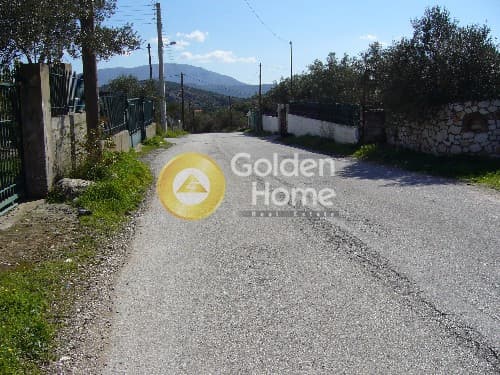 Parcel in Lamprika, Koropi — Photo 2 of 8