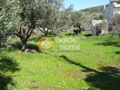 Parcel in Lamprika, Koropi — Photo 1 of 8