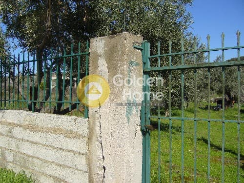 Parcel in Lamprika, Koropi — Photo 8 of 8