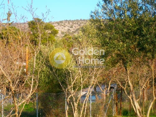 Building Plot in ATE, Anavissos — Photo 1 of 3