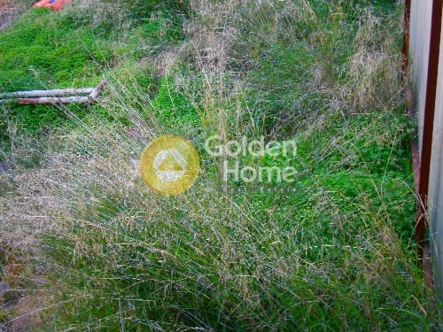 Building Plot in ATE, Anavissos — Photo 3 of 3