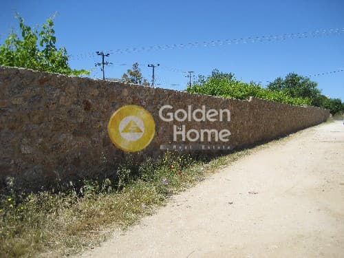Parcel in Ari, Anavissos — Photo 4 of 8