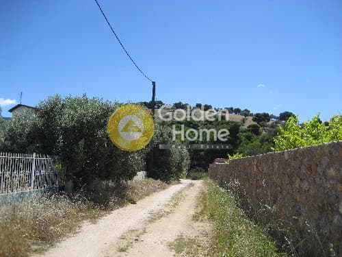 Parcel in Ari, Anavissos — Photo 5 of 8