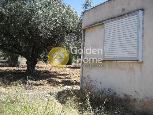 Parcel in Ari, Anavissos — Photo 7 of 8