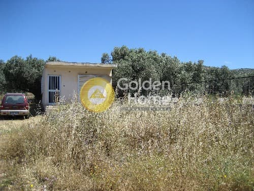 Parcel in Ari, Anavissos — Photo 8 of 8