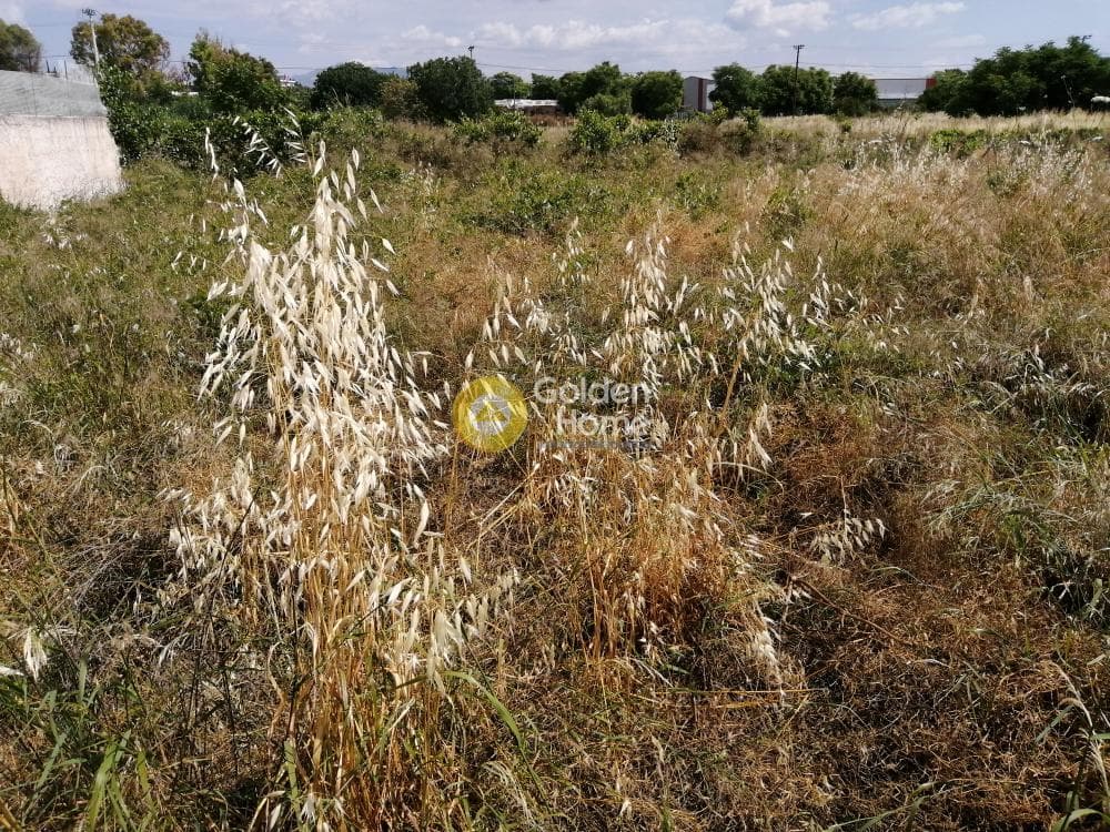 Building Plot in Center, Koropi — Photo 7 of 11