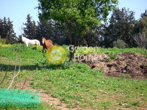 Οικόπεδο στην Λεωφ. Βάρης Κορωπίου, Κορωπί — Φωτογραφία 13 από 18