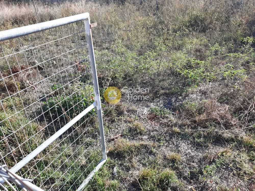 Building Plot in Kalivia, Kalivia Thorikou — Photo 3 of 3