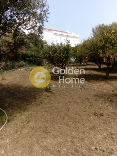 Building Plot in Kalloni, Tinos — Photo 6 of 12