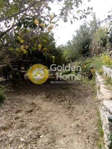 Building Plot in Kalloni, Tinos — Photo 10 of 12