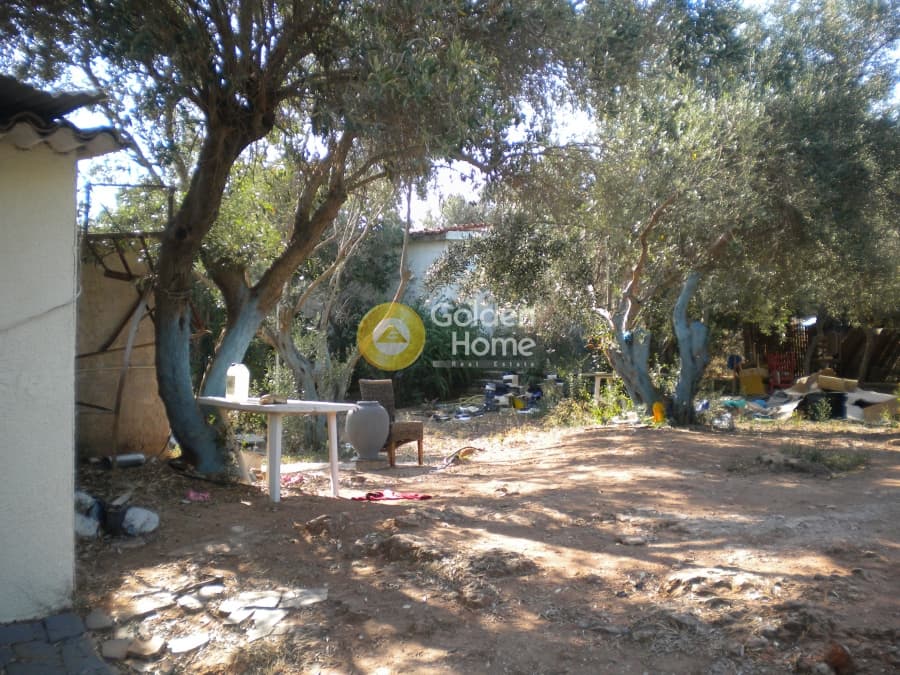Οικόπεδο στην Άγιος Ανδρέας, Νέα Μάκρη — Φωτογραφία 1 από 11