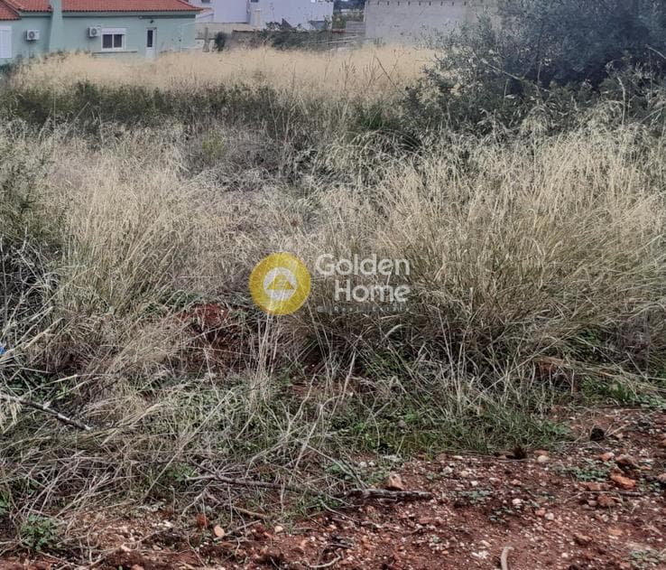 Οικόπεδο στην Νέος Βουτζάς - 1η Είσοδος, Ραφήνα — Φωτογραφία 1 από 3