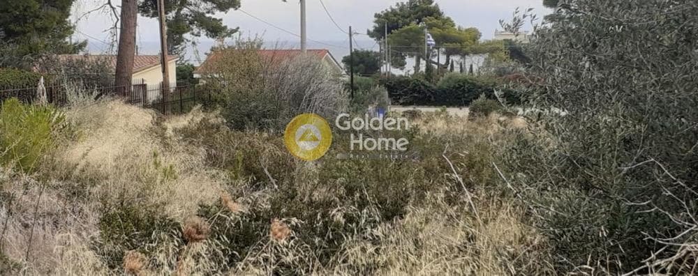 Οικόπεδο στην Νέος Βουτζάς - 1η Είσοδος, Ραφήνα — Φωτογραφία 3 από 3