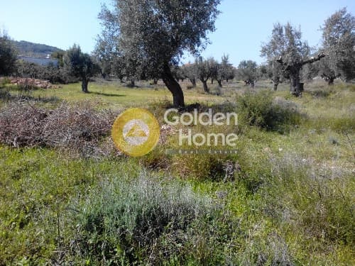 Parcel in Agios Nikolaos, Anavissos — Photo 9 of 11