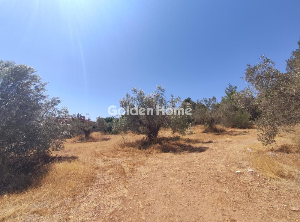 Parcel in Agios Nikolaos, Anavissos — Photo 2 of 11