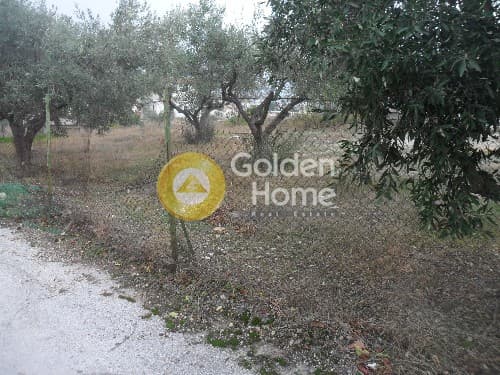 Building Plot in Kalivia, Kalivia Thorikou — Photo 3 of 9
