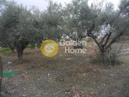 Building Plot in Kalivia, Kalivia Thorikou — Photo 4 of 9