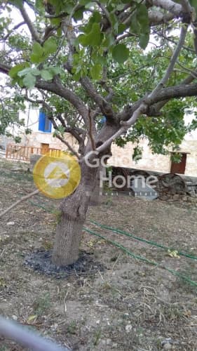 Οικόπεδο στην Κυψέλη, Αίγινα — Φωτογραφία 3 από 6