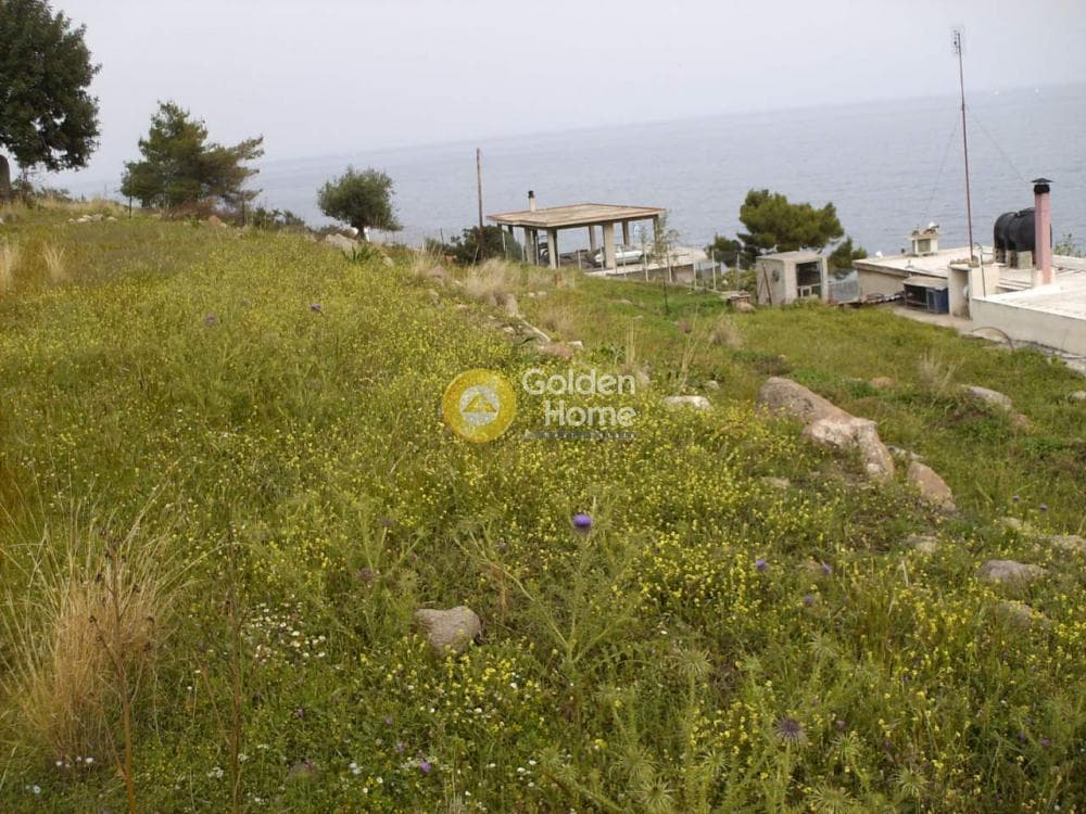 Οικόπεδο στην Πόρτες, Αίγινα — Φωτογραφία 1 από 2