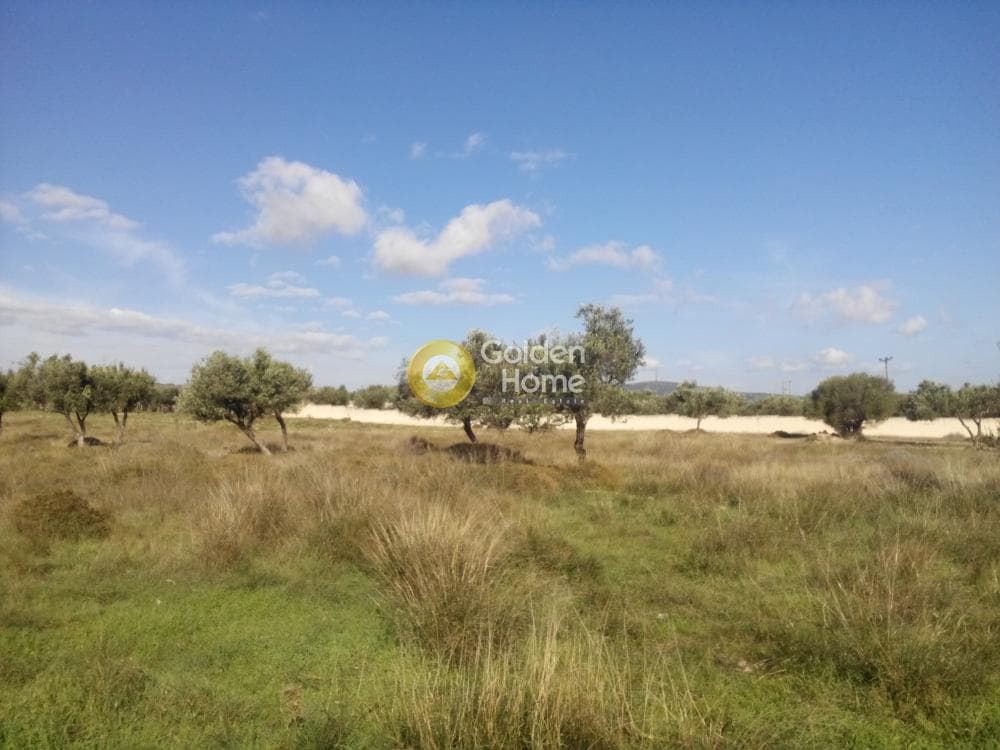 Οικόπεδο στην Κίτσι, Βάρη - Βάρκιζα — Φωτογραφία 1 από 5