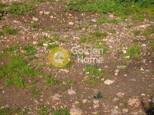 Building Plot in Perivolakia, Rafina — Photo 2 of 2