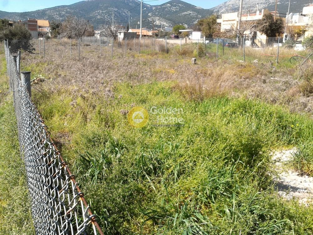 Οικόπεδο στην Μεγάλα Σχοινία Α, Αχαρνές