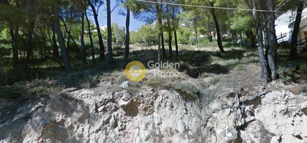 Οικόπεδο στην Μεγάλα Σχοινία Α, Αχαρνές