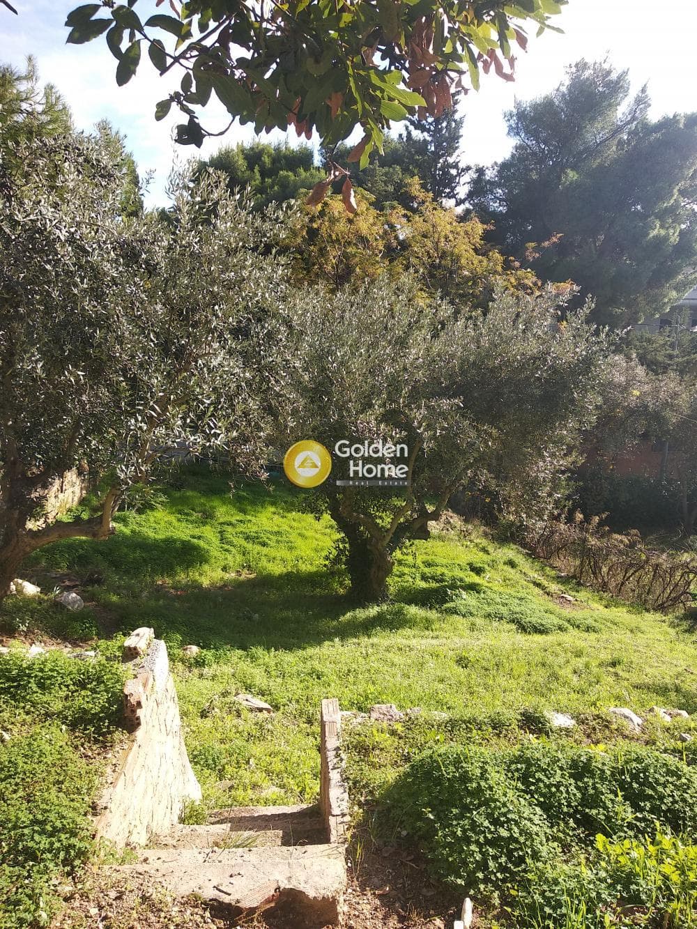 Building Plot in Zirineio, Kifisia — Photo 4 of 8