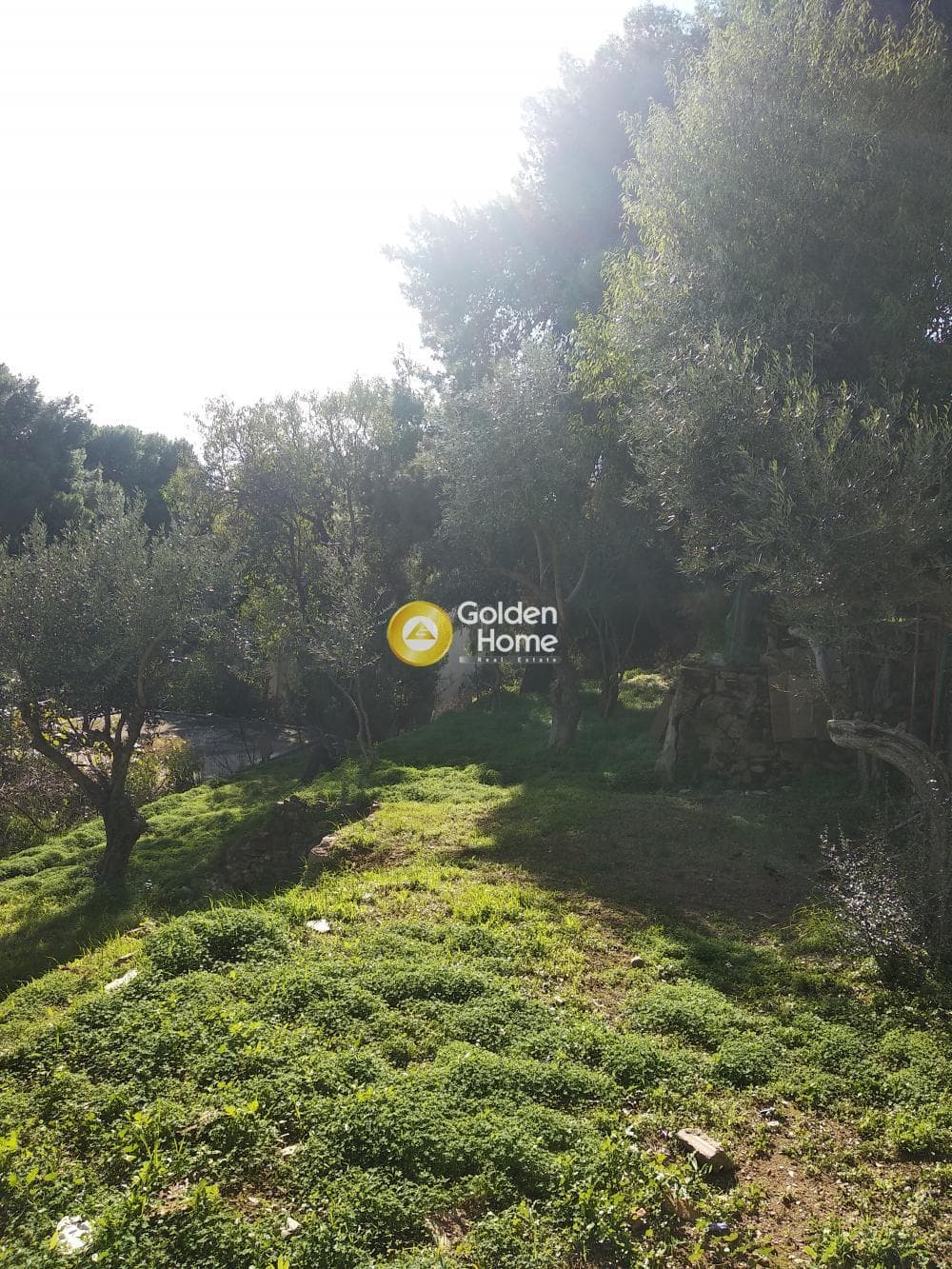 Building Plot in Zirineio, Kifisia — Photo 5 of 8