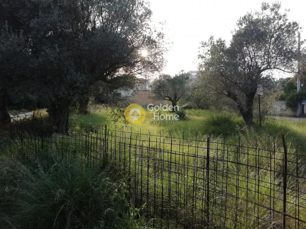 Οικόπεδο στην Ζούμπερι, Νέα Μάκρη — Φωτογραφία 1 από 8