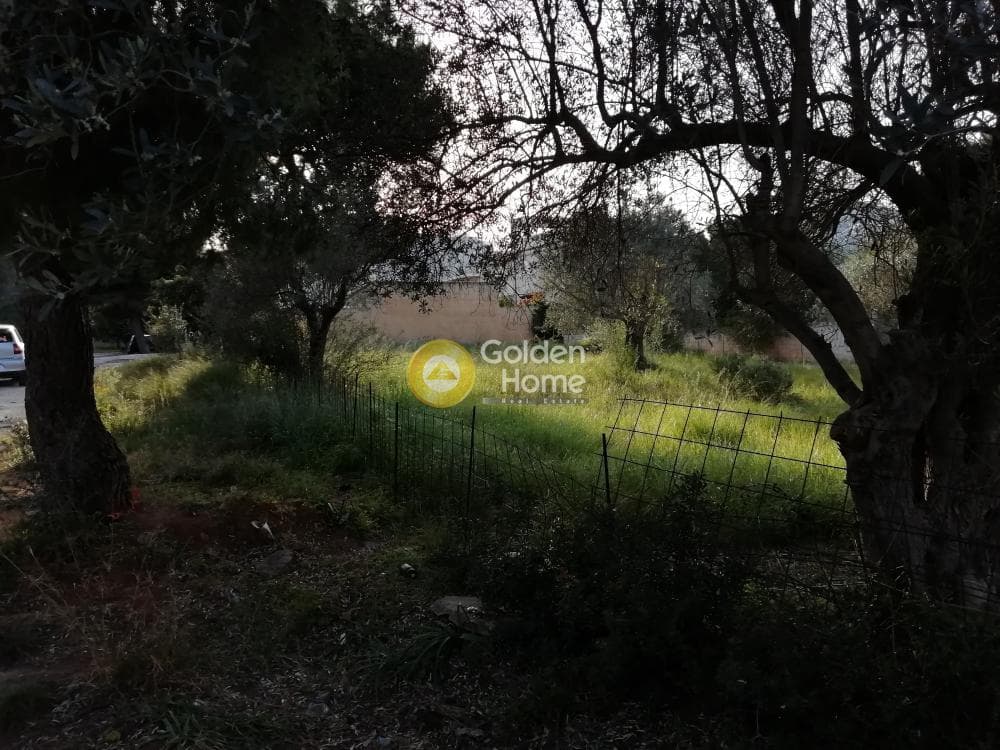 Οικόπεδο στην Ζούμπερι, Νέα Μάκρη — Φωτογραφία 2 από 8