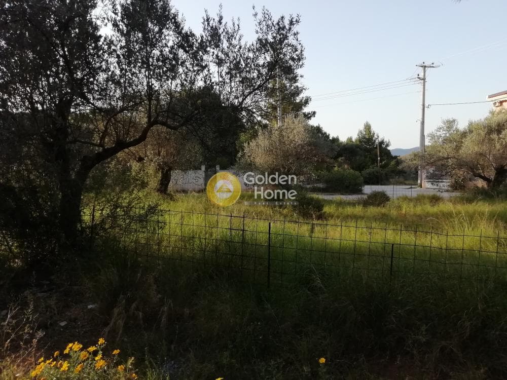 Οικόπεδο στην Ζούμπερι, Νέα Μάκρη — Φωτογραφία 3 από 8