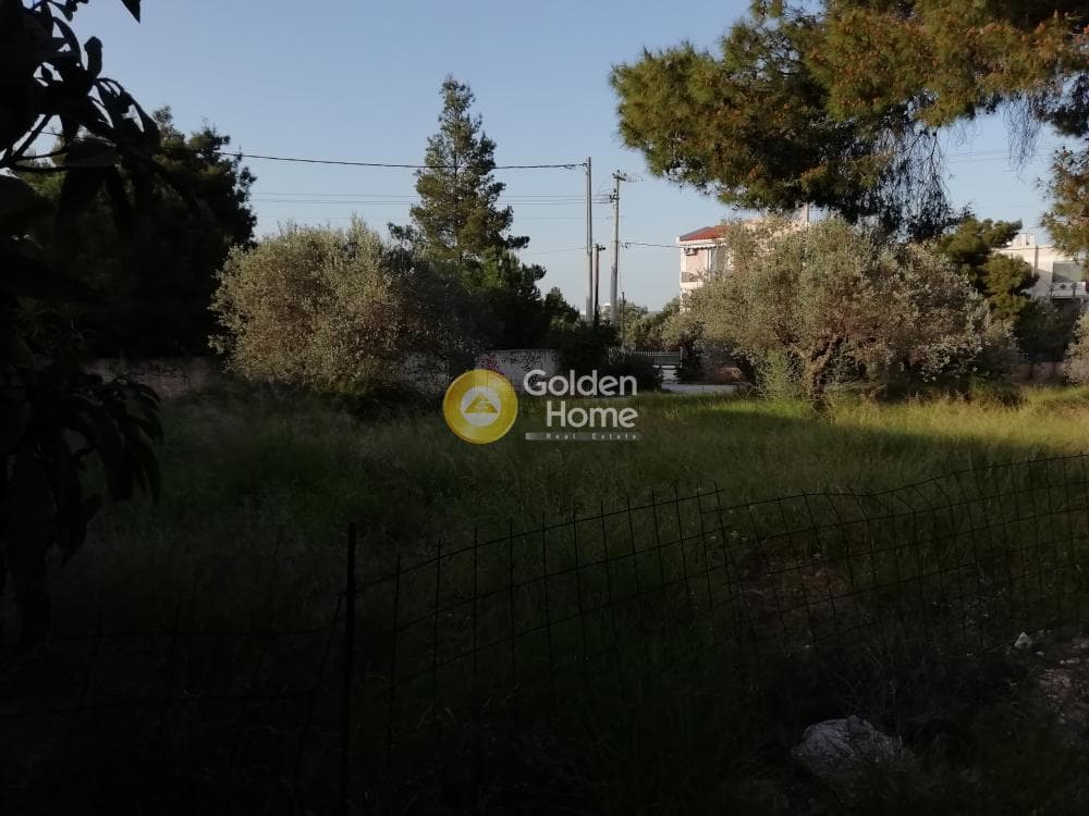 Οικόπεδο στην Ζούμπερι, Νέα Μάκρη — Φωτογραφία 4 από 8