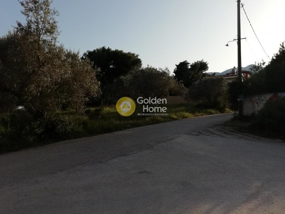 Οικόπεδο στην Ζούμπερι, Νέα Μάκρη — Φωτογραφία 6 από 8