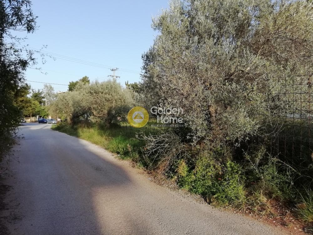 Οικόπεδο στην Ζούμπερι, Νέα Μάκρη — Φωτογραφία 7 από 8