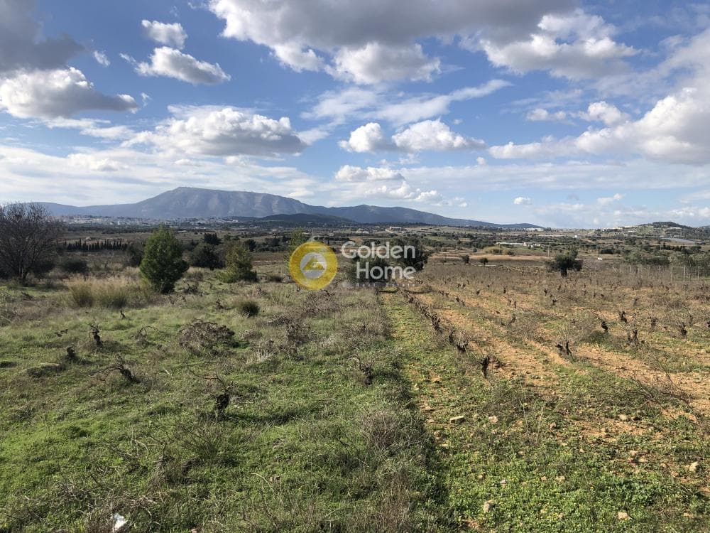 Οικόπεδο στην Νεάπολη, Σπάτα — Φωτογραφία 7 από 9