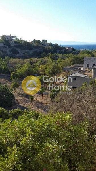 Αγροτεμάχιο στην Κυψέλη, Αίγινα — Φωτογραφία 7 από 10
