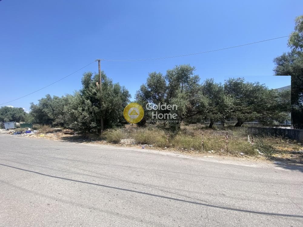 Αγροτεμάχιο στην Καρελλάς, Παιανία — Φωτογραφία 1 από 6