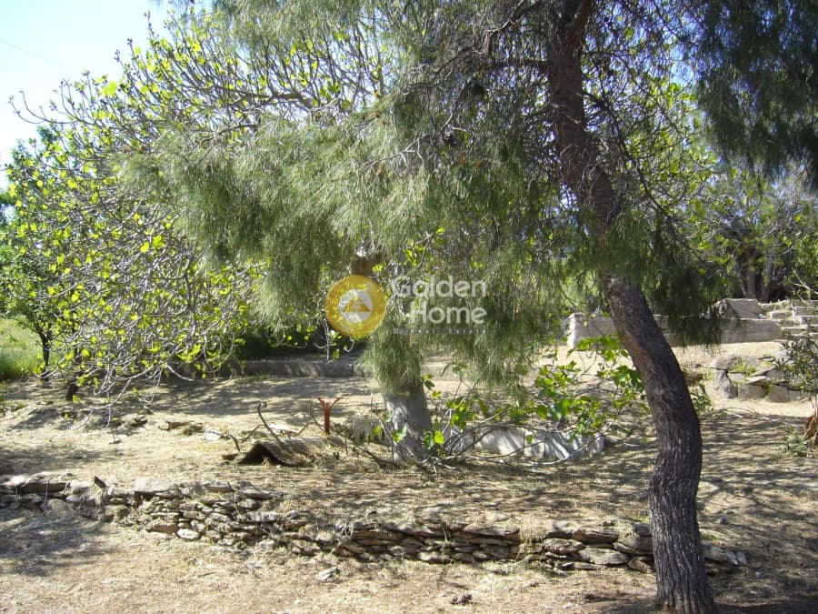 House in Mikrolimano, Lavrio — Photo 13 of 17