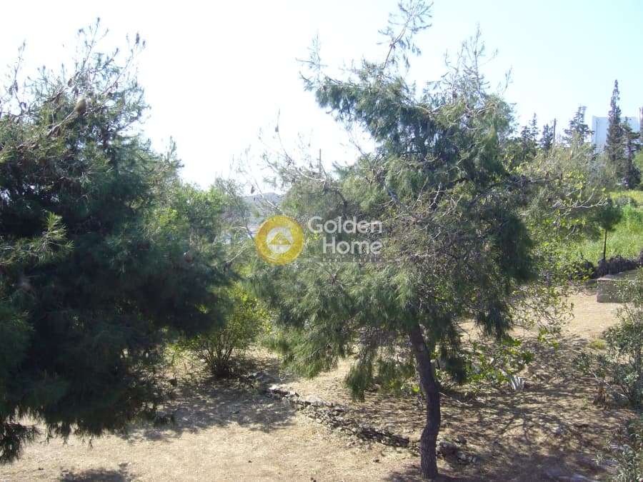 House in Mikrolimano, Lavrio — Photo 14 of 17