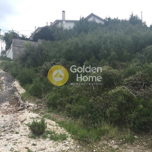 Building Plot in Rodopoli, Rodopoli — Photo 3 of 8