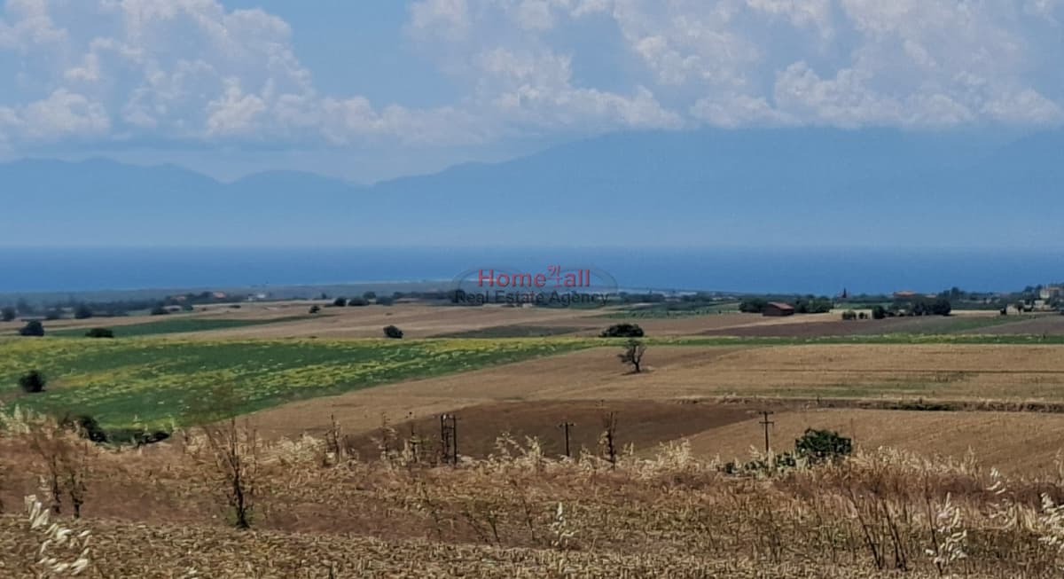 Μονοκατοικία στην Πλαγιάρι, Μίκρα — Φωτογραφία 23 από 24