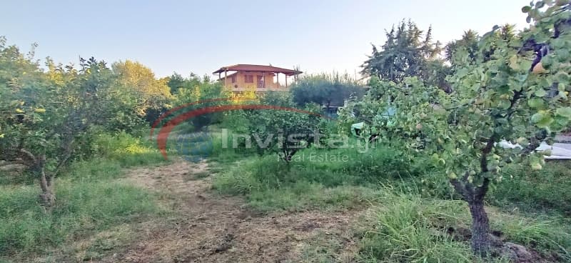 House in Pefkochori, Pallini — Photo 25 of 25