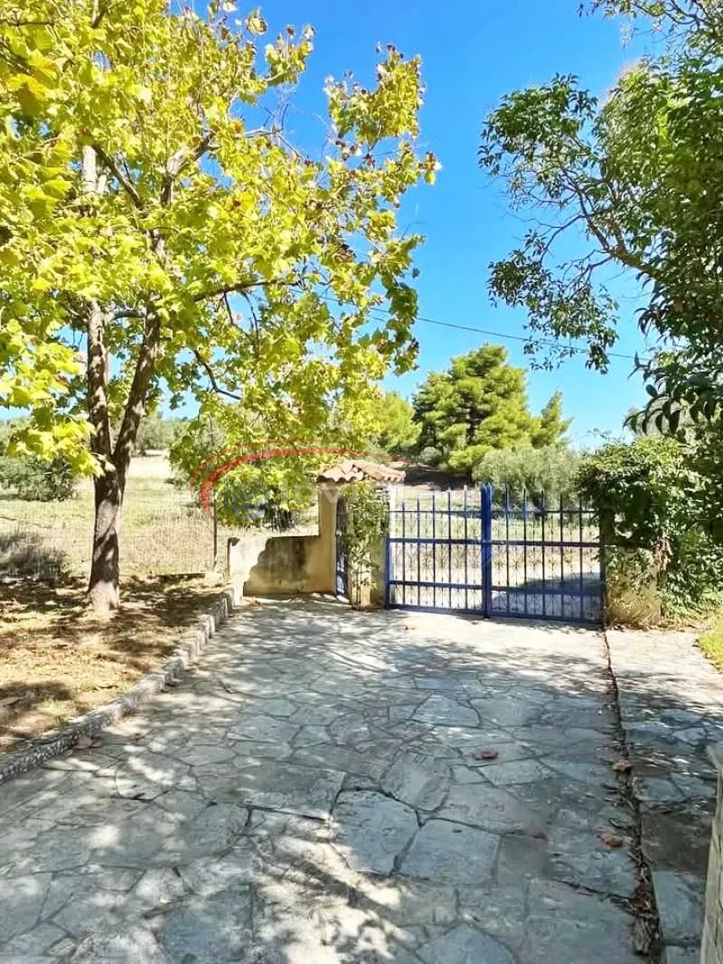 Μονοκατοικία στην Ποσείδι, Κασσάνδρα — Φωτογραφία 7 από 24