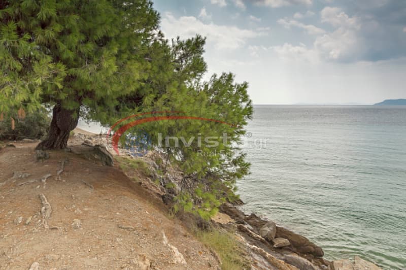Μονοκατοικία στην Τριπόταμος, Σιθωνία — Φωτογραφία 4 από 6
