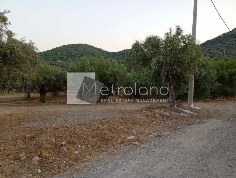 Building Plot in Perani, Salamina — Photo 9 of 9