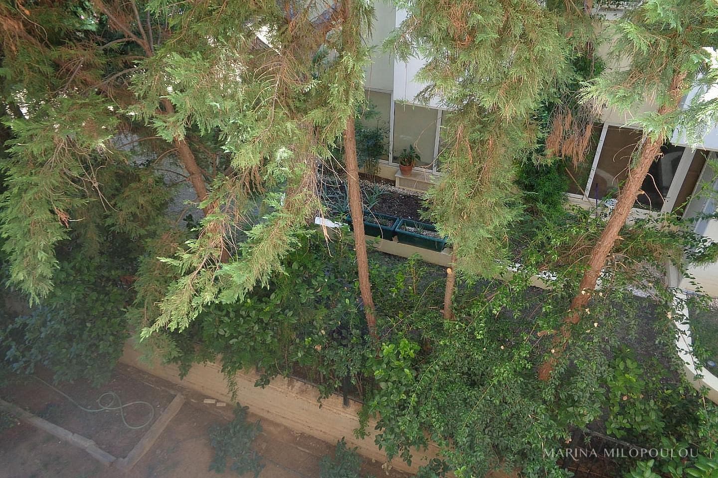 Apartment in Varkiza, Vari - Varkiza — Photo 14 of 16