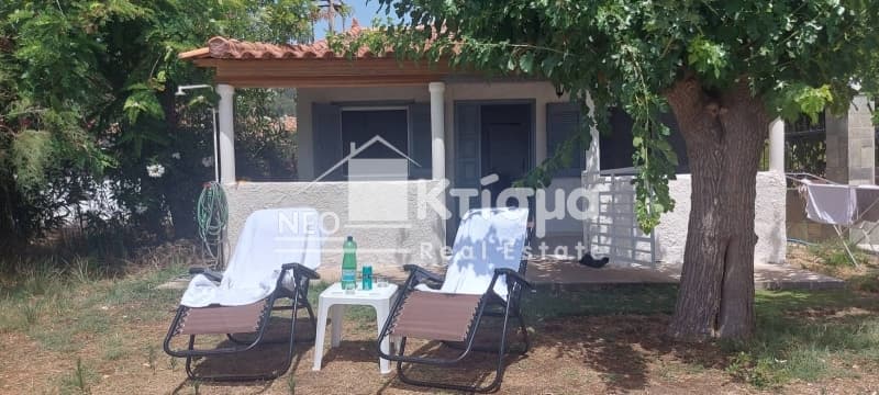 House in Agios Andreas, Pirgos — Photo 15 of 29