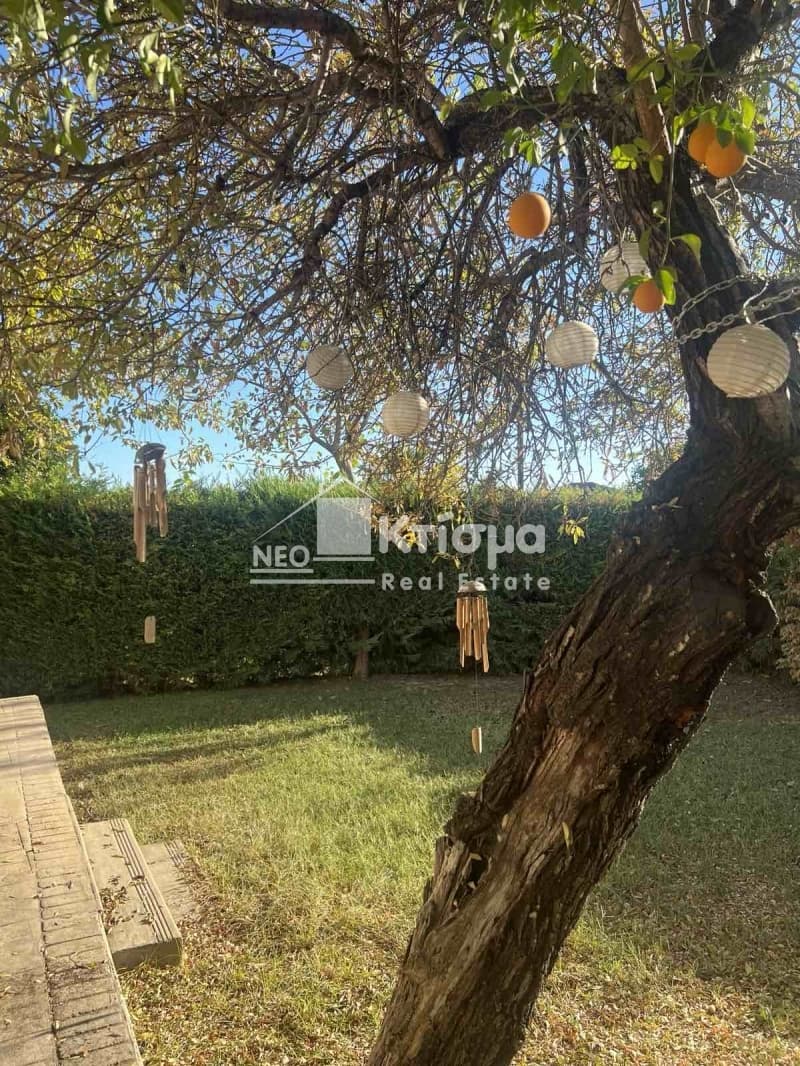 House in Koliri, Pirgos — Photo 22 of 30