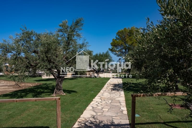 Μονοκατοικία στην Κάτω Ταξιάρχες, Ζαχάρω — Φωτογραφία 19 από 30